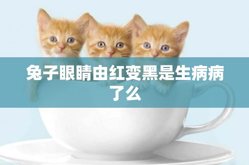 兔子眼睛由紅變黑是生病病了么