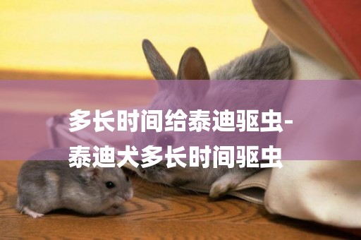 多長時間給泰迪驅蟲-
泰迪犬多長時間驅蟲