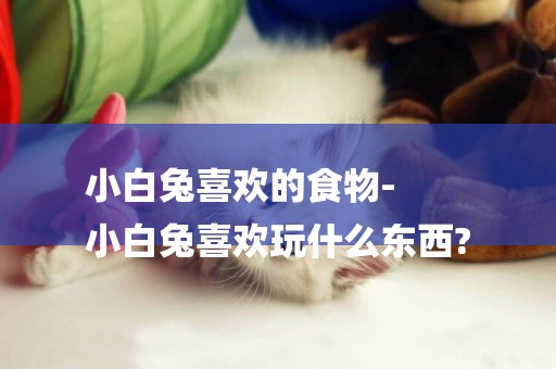 小白兔喜歡的食物-
小白兔喜歡玩什么東西?