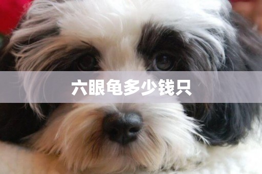 六眼龜多少錢只