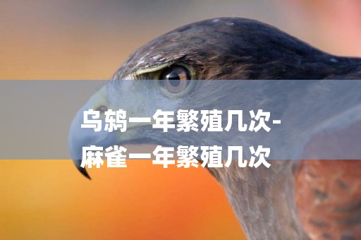 烏鶇一年繁殖幾次-
麻雀一年繁殖幾次