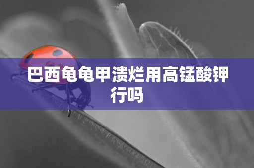 巴西龜龜甲潰爛用高錳酸鉀行嗎