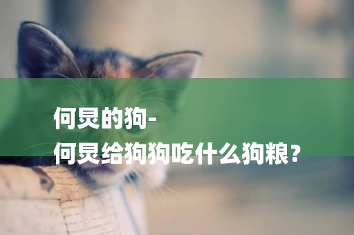 何炅的狗-
何炅給狗狗吃什么狗糧？