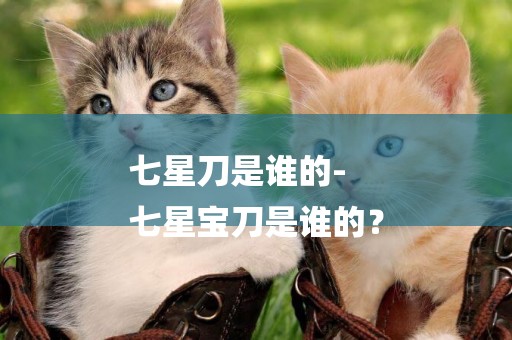 七星刀是誰的-
七星寶刀是誰的？