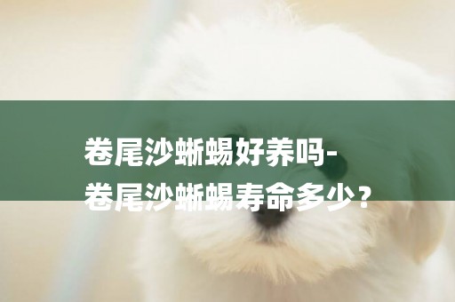 卷尾沙蜥蜴好養嗎-
卷尾沙蜥蜴壽命多少？