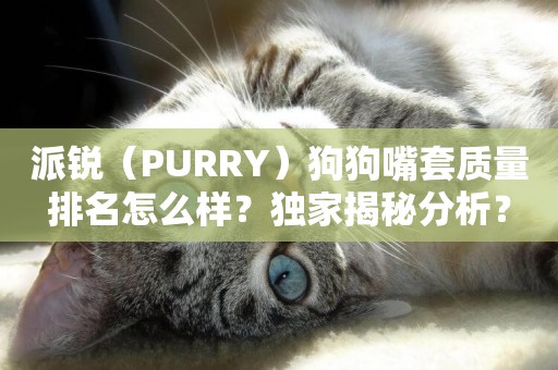派銳（PURRY）狗狗嘴套質量排名怎么樣？獨家揭秘分析？