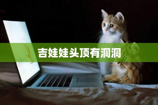 吉娃娃頭頂有洞洞