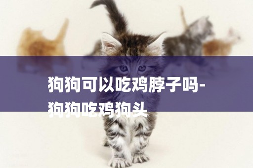 狗狗可以吃雞脖子嗎-
狗狗吃雞狗頭