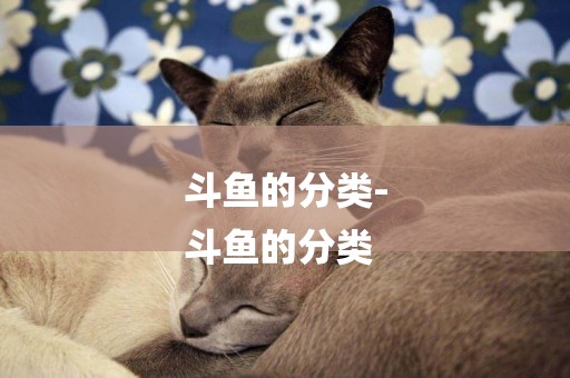 斗魚的分類-
斗魚的分類