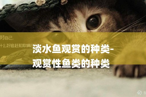 淡水魚觀賞的種類-
觀賞性魚類的種類