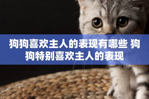 狗狗喜歡主人的表現有哪些 狗狗特別喜歡主人的表現