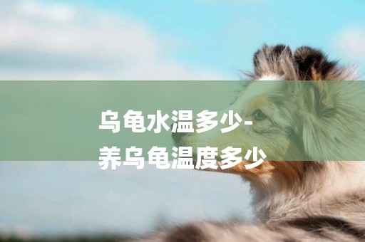 烏龜水溫多少-
養烏龜溫度多少