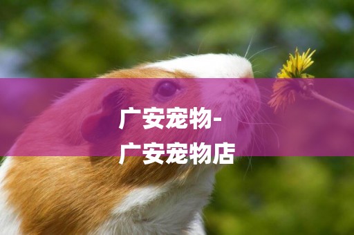 廣安寵物-
廣安寵物店