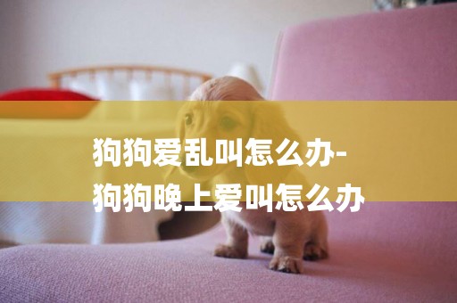 狗狗愛亂叫怎么辦-
狗狗晚上愛叫怎么辦