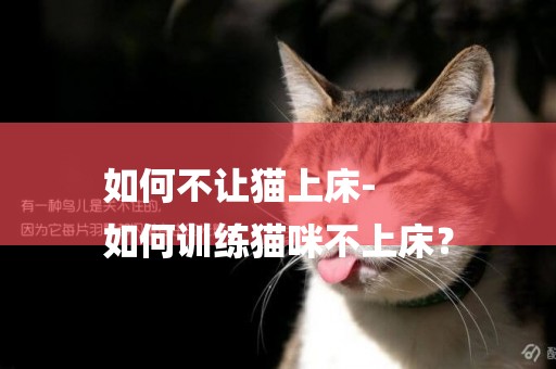 如何不讓貓上床-
如何訓練貓咪不上床？