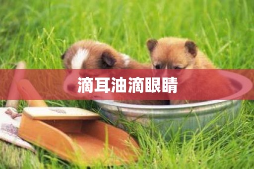 滴耳油滴眼睛