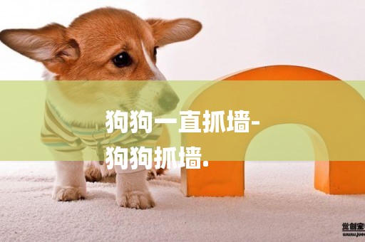 狗狗一直抓墻-
狗狗抓墻.