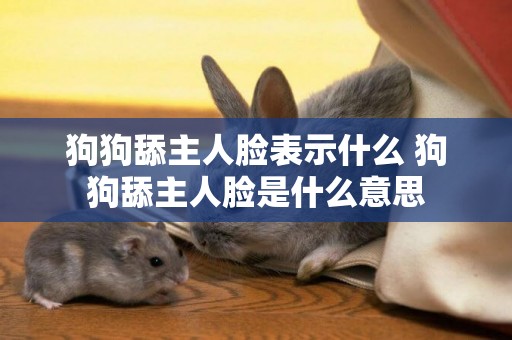 狗狗舔主人臉表示什么 狗狗舔主人臉是什么意思