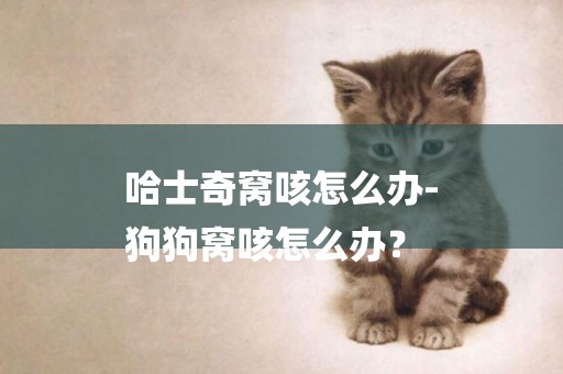 哈士奇窩咳怎么辦-
狗狗窩咳怎么辦？
