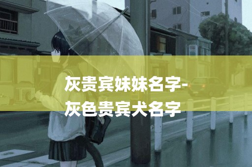 灰貴賓妹妹名字-
灰色貴賓犬名字