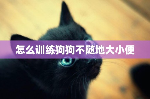 怎么訓練狗狗不隨地大小便