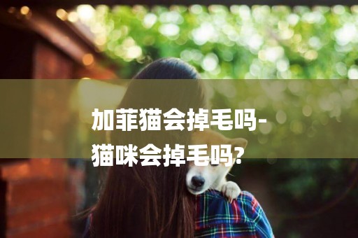 加菲貓會掉毛嗎-
貓咪會掉毛嗎?