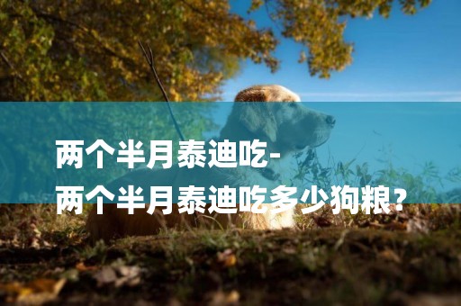 兩個半月泰迪吃-
兩個半月泰迪吃多少狗糧？