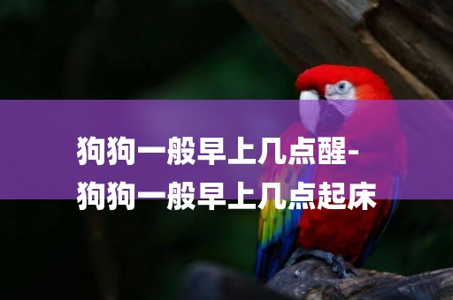 狗狗一般早上幾點醒-
狗狗一般早上幾點起床