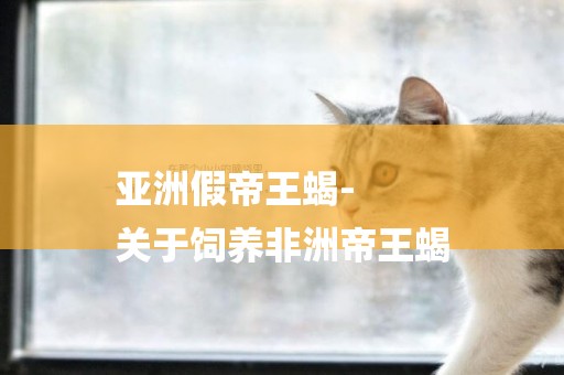亞洲假帝王蝎-
關于飼養非洲帝王蝎
