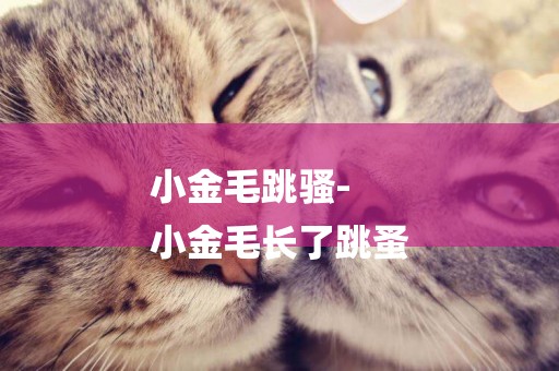 小金毛跳騷-
小金毛長了跳蚤