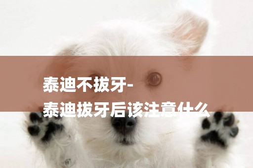 泰迪不拔牙-
泰迪拔牙后該注意什么