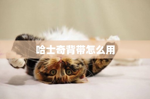 哈士奇背帶怎么用