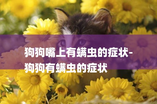 狗狗嘴上有螨蟲的癥狀-
狗狗有螨蟲的癥狀