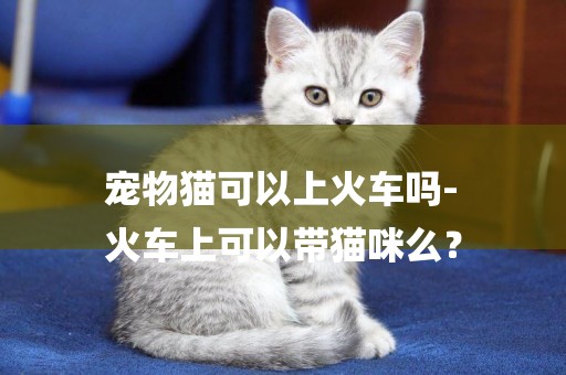 寵物貓可以上火車嗎-
火車上可以帶貓咪么？