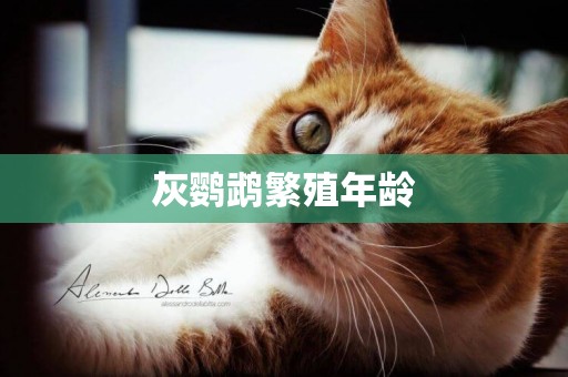 灰鸚鵡繁殖年齡