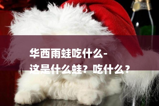 華西雨蛙吃什么-
這是什么蛙？吃什么？