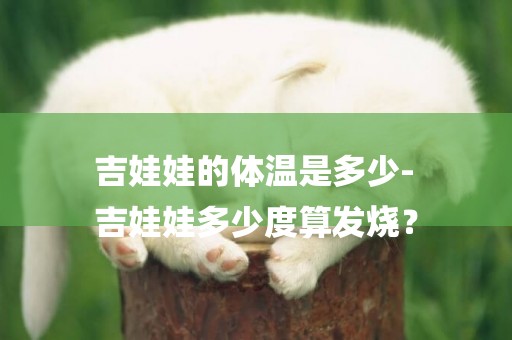 吉娃娃的體溫是多少-
吉娃娃多少度算發燒？