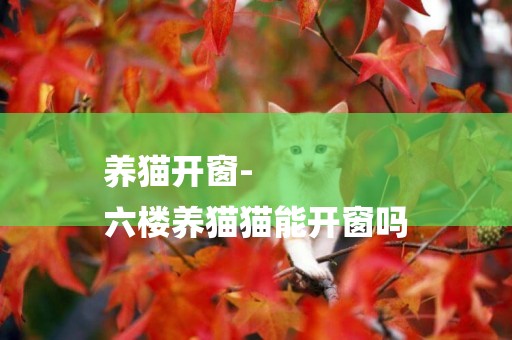 養貓開窗-
六樓養貓貓能開窗嗎