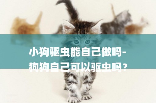 小狗驅蟲能自己做嗎-
狗狗自己可以驅蟲嗎？