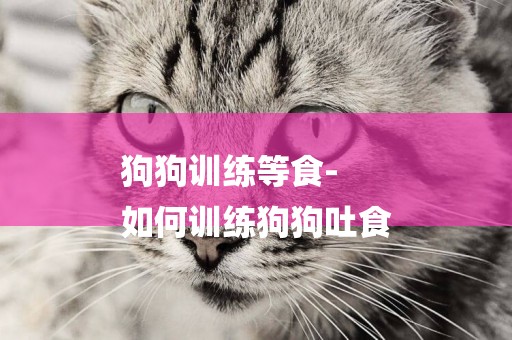 狗狗訓練等食-
如何訓練狗狗吐食
