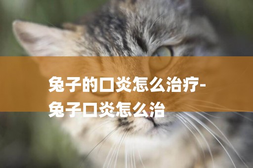 兔子的口炎怎么治療-
兔子口炎怎么治