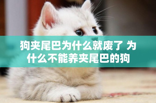 狗夾尾巴為什么就廢了 為什么不能養夾尾巴的狗