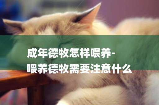 成年德牧怎樣喂養-
喂養德牧需要注意什么