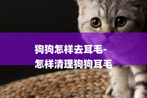 狗狗怎樣去耳毛-
怎樣清理狗狗耳毛