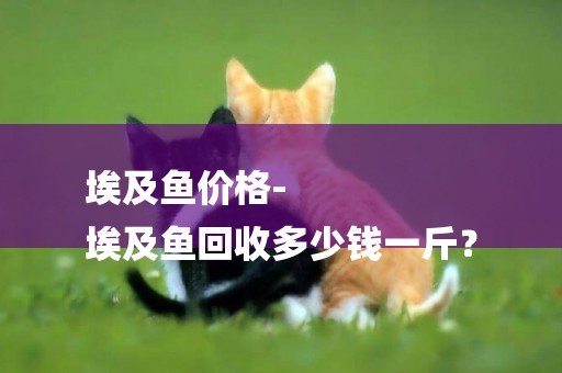 埃及魚價格-
埃及魚回收多少錢一斤？