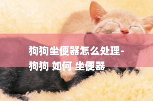 狗狗坐便器怎么處理-
狗狗 如何 坐便器