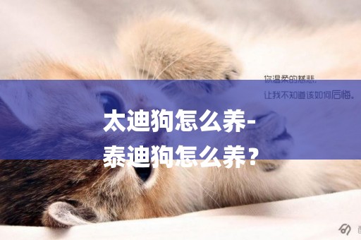 太迪狗怎么養-
泰迪狗怎么養？