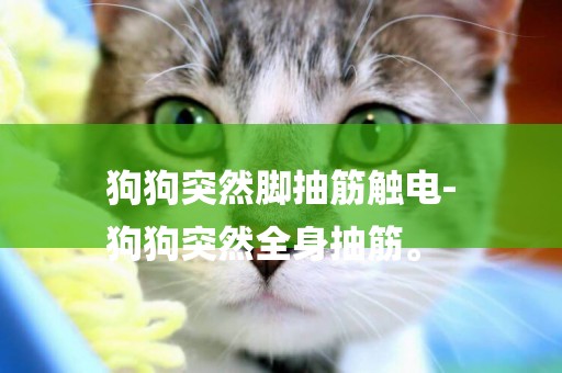 狗狗突然腳抽筋觸電-
狗狗突然全身抽筋。