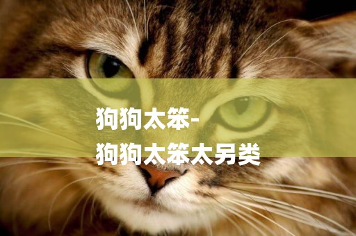 狗狗太笨-
狗狗太笨太另類