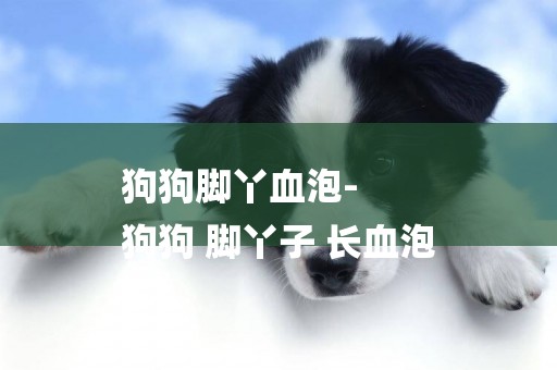 狗狗腳丫血泡-
狗狗 腳丫子 長血泡